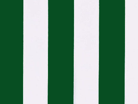 Toile de Rechange en Polyester Rayures Vertes et Blanches - 6m x 3m